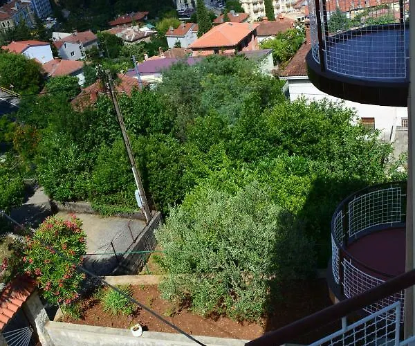 Zigulic