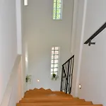 Zigulic * أوباتيا