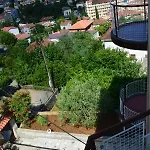 Zigulic