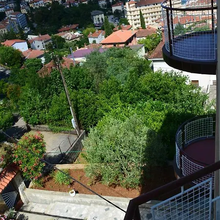 Zigulic